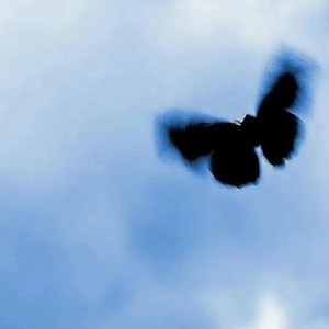 警花被歹徒糟蹋到高潮
