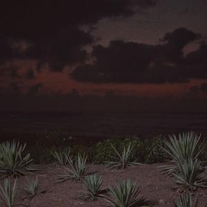 警花被歹徒糟蹋到高潮
