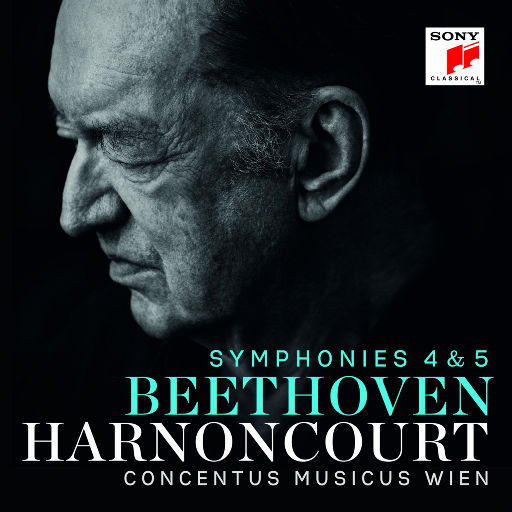 警花被歹徒糟蹋到高潮
